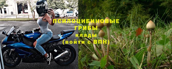 спиды Сафоново