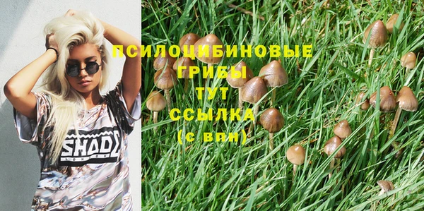 скорость Зеленодольск