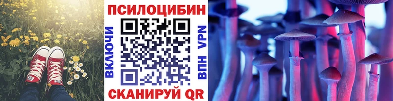 Галлюциногенные грибы мицелий  даркнет сайт  omg tor  Себеж 